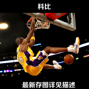什么是cma证书